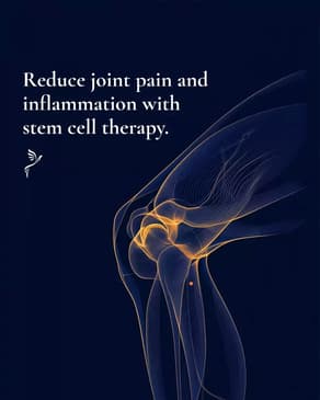 Slider image (2) Blue Phoenix for Regenerative Wellness